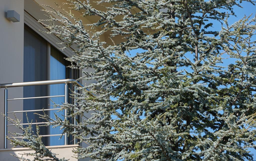 Villa Evergreen 伊拉克利翁 外观 照片
